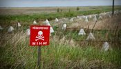 Український кордон з Білоруссю на Поліссі