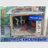 Программа новостей