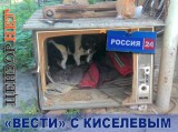 Программа новостей