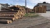лес древесина