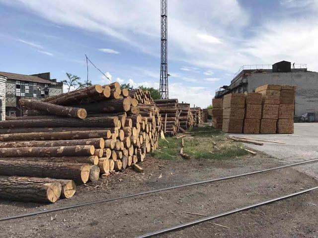 Налоговики раскрыли схему незаконного экспорта леса и пиломатериалов в Херсоне 02