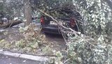 В Днепропетровске ураган побил машины. ФОТОрепортаж