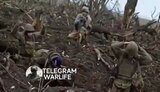 полонені
