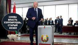 Навіть тварина заговорила...