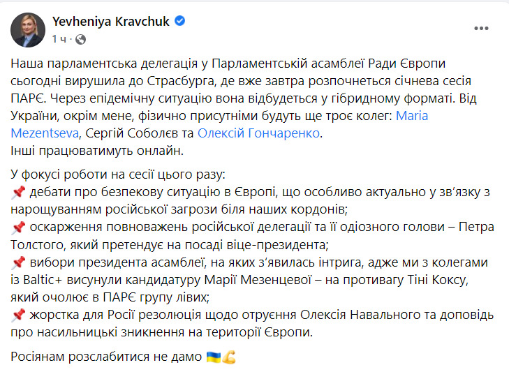 Українська делегація у ПАРЄ вирушила до Страсбурга: Росіянам розслабитися не дамо 06