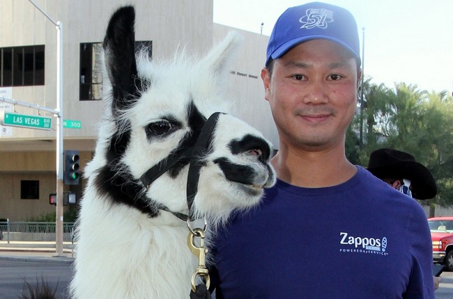zappos