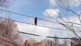Прогулка по проводам сделала канадского енота звездой интернета. ВИДЕО