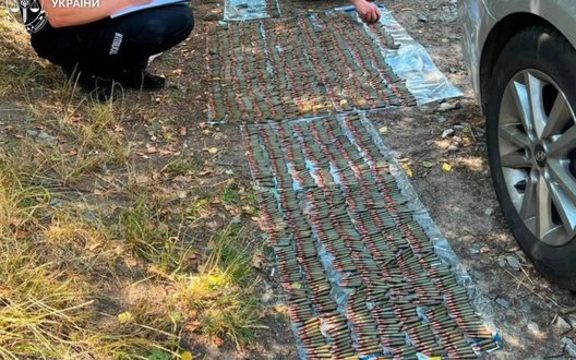На Житомирщині затримали військового за підозрою у збуті боєприпасів, - спецпрокуратура. ФОТО