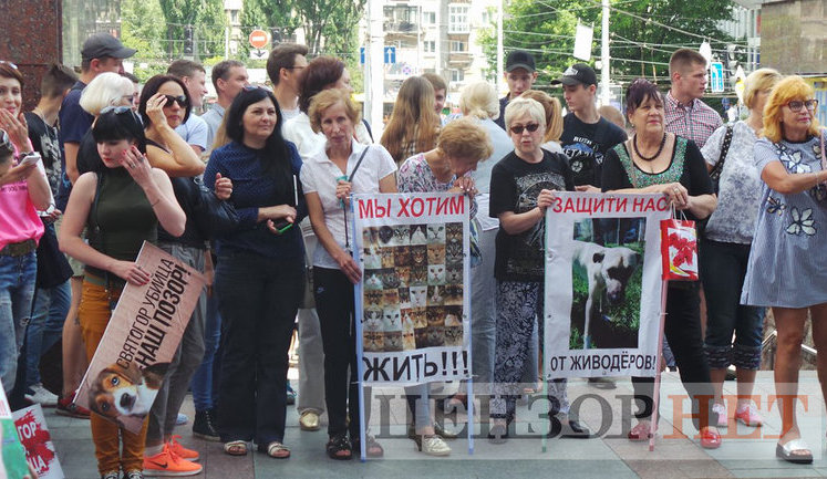 "Вбивці не місце на волі", - зоозахисники пікетують Апеляційний суд Києва з вимогою залишити догхантера Святогора під арештом. ВІДЕО+ФОТОрепортаж