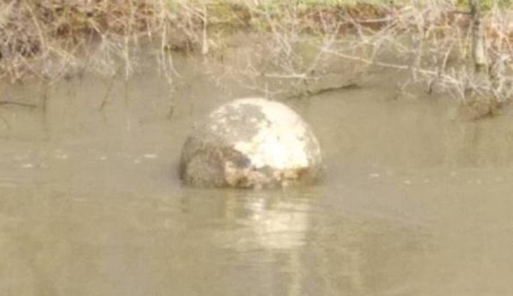 Мина времен Первой мировой войны всплыла в Дунае в районе Измаила, - мэр Абрамченко
