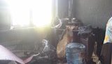 красногоровка