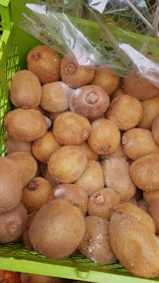 Компанія Військсервіс Волонтер поставляє в ЗСУ тухле мясо і гнилі овочі та фрукти, - депутатка Голосу Бобровська (доповнено) 09