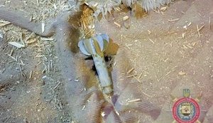 Russian militants mortar-shelled Avdiivka, hit private house, - National Police. PHOTOS
