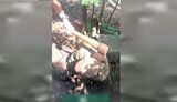 полон,катування