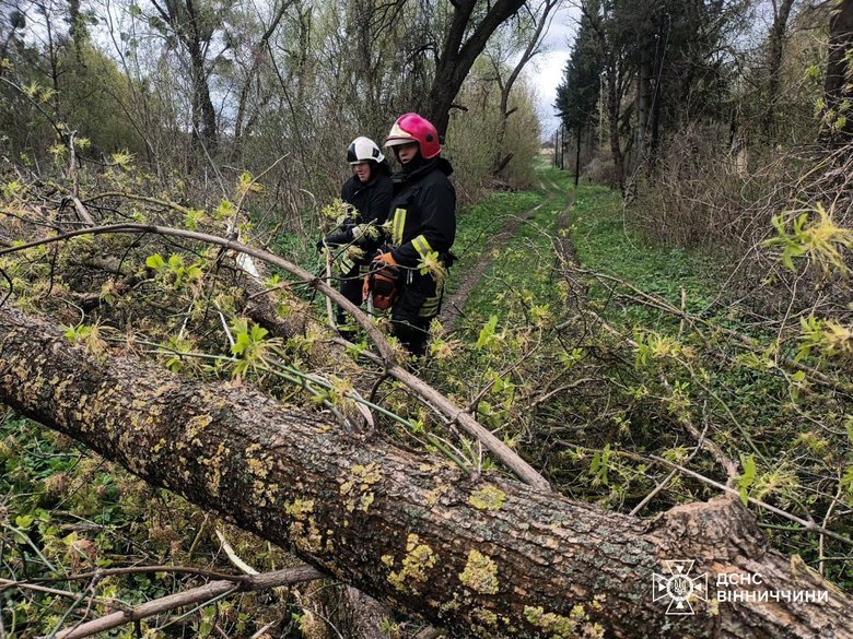 В Украине из-за непогоды погибли два человека, еще двое получили травмы