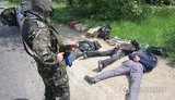 референдум террористы