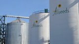allseeds