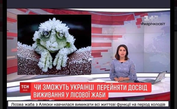 Ідеальні ЗМІ, Зе!експеримент, зброя русского мира. Свіжі ФОТОжаби від Цензор.НЕТ 07