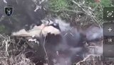 Бойцы 42 бригады сняли на видео, как оккупант сам себя подорвал гранатой на Покровском направлении