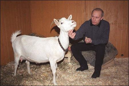 Цензор.НЕТ Изображение