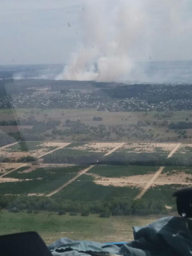 На Херсонщині знову горить ліс 03 На Херсонщині знову горить ліс 03