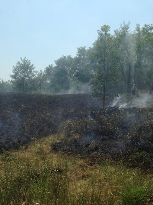 Fire erupted on Khortytsia island, Sich and national park under threat 05