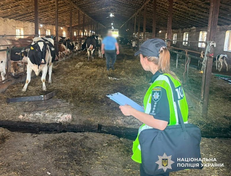 На Житомирщині через бездіяльність директора підприємства загинула худоба