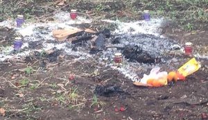 Іноземці скоїли в Одеській області ритуальне вбивство. Зловмисники затримані, - Нацполіція. ФОТОрепортаж