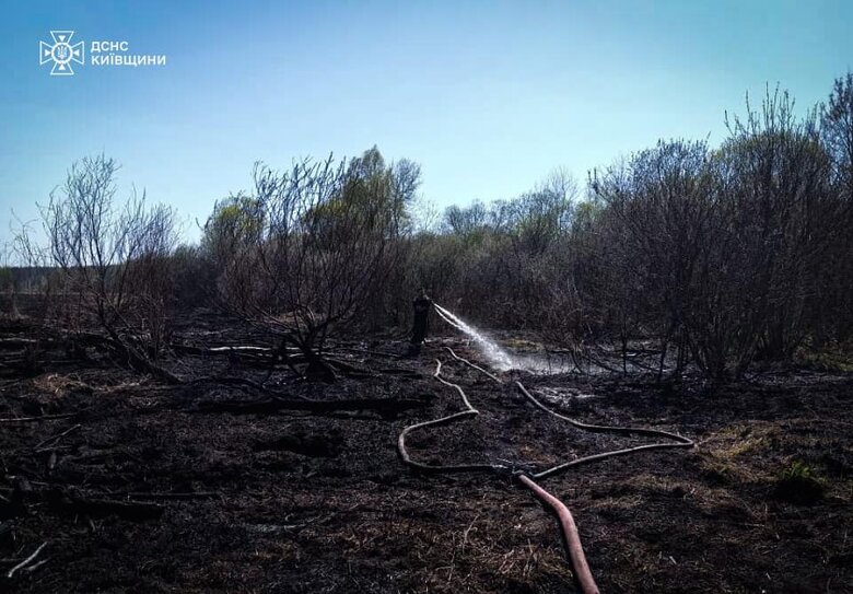 пожежа торф'яників