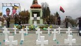 украина карпатская сечь