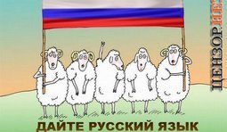 Требуем!