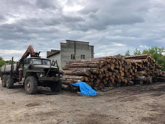 Полиция провела обыски в нескольких лесхозах Ивано-Франковской области 04