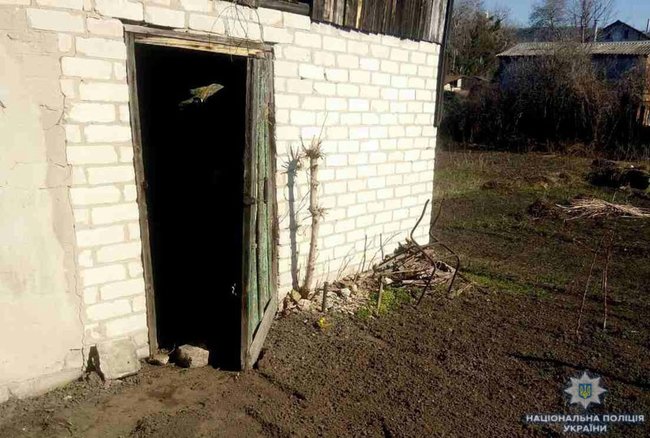 Полицейские обнаружили схрон с боеприпасами в Донецкой области 03