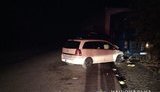 Opel зіткнувся з вантажівкою на Миколаївщині: постраждали 6 осіб, серед яких 5 неповнолітніх. ФОТО
