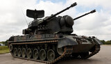 гепард,gepard