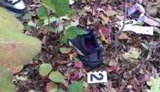 В Одесской области нашли убитой пропавшую вчера 14-летнюю девочку, - Нацполиция (обновлено). ВИДЕО