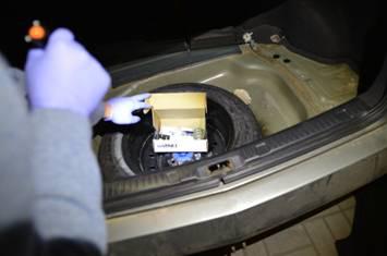 сбу задержание террористы