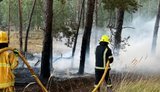 Масштабный лесной пожар четвертый день бушует на Киевщине: фронт огня растянулся на несколько километров. ФОТО