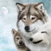Павел Иванов #393660
