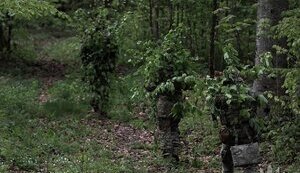 Обстановка на фронті станом на 22 червня 2024 року