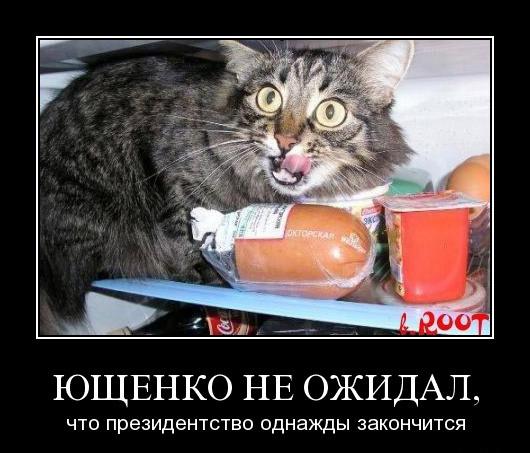 Внезапная неожиданность