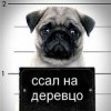 Санчес