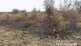 Поліція перевіряє заяву про підпал виноградників Лакарена на Одещині, поки виявлено лише вигорілу траву. ФОТО