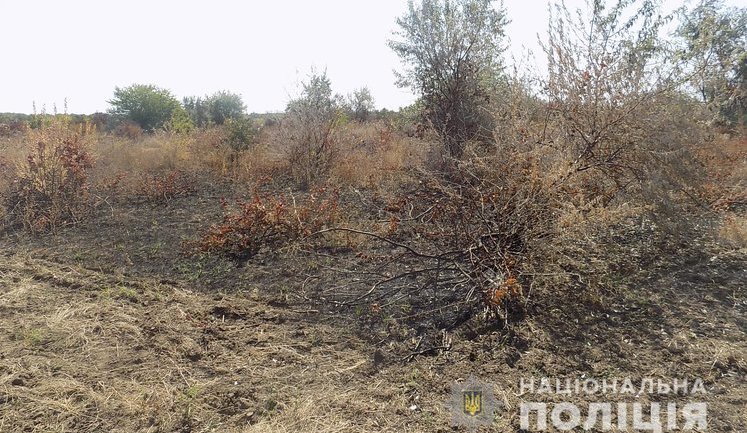 Полиция проводит проверку заявления о поджоге виноградников Лакарена на Одесчине, пока обнаружена только выгоревшая трава. ФОТО