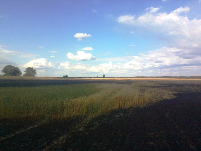 Понад 20 га пшениці згоріло на Житомирщині, - ДСНС 01