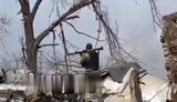 гранатомет