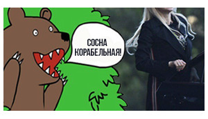Горіла сосна, палала... піддута та тюнінгована... Жизнь флоры и фауны современного политикума в ФОТОжабах