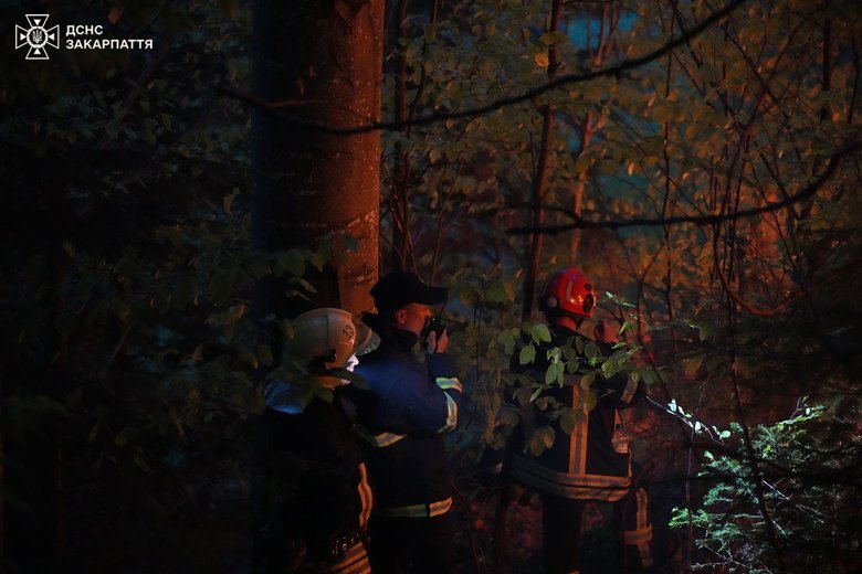 пожежа в карпатах