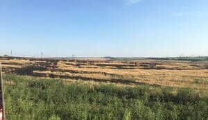 Чоловік підірвався в полі на Миколаївщині