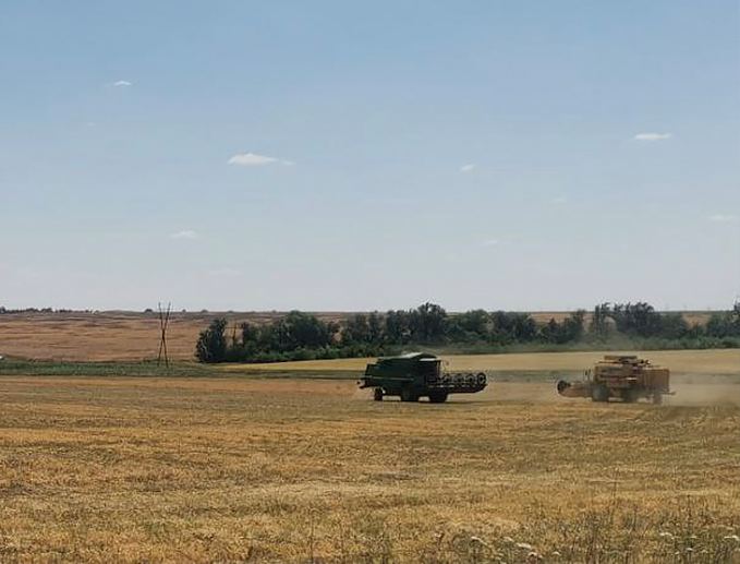 Оккупанты начали сбор урожая в Мариупольском районе. Фактически - кражу у агрохолдингов и фермеров, - Андрющенко 01 Оккупанты начали сбор урожая в Мариупольском районе. Фактически - кражу у агрохолдингов и фермеров, - Андрющенко 01